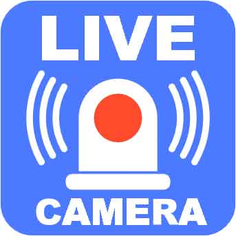 live-camera.jpg